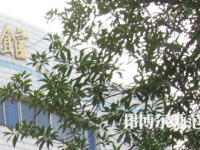湖南師范大學樹達學院2023年怎么樣、好不好
