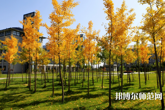 瀘州幼師職業(yè)技術(shù)學(xué)校2023年學(xué)費、收費多少