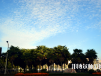 長(zhǎng)江大學(xué)文理學(xué)院2023年有哪些專(zhuān)業(yè)