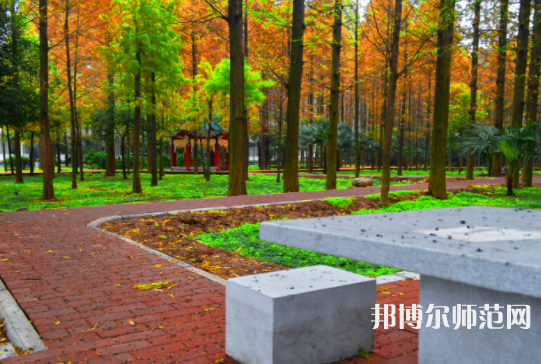 長江大學(xué)文理學(xué)院2023年怎么樣、好不好