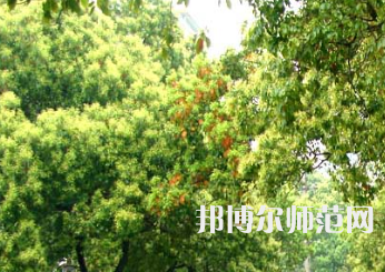 衡陽師范學(xué)院南岳學(xué)院2023年怎么樣、好不好
