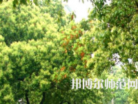 衡陽(yáng)師范學(xué)院南岳學(xué)院2023年怎么樣、好不好