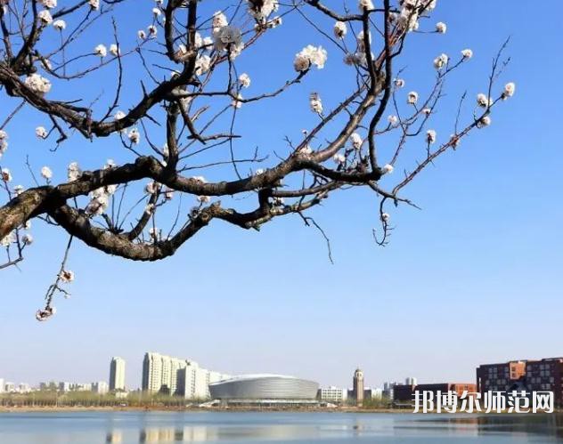 天津理工師范大學(xué)2023年報名條件、招生要求、招生對象