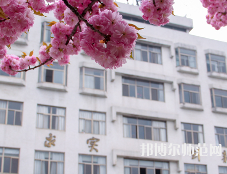 淮陰師范學(xué)院2023年報(bào)名條件、招生要求、招生對(duì)象