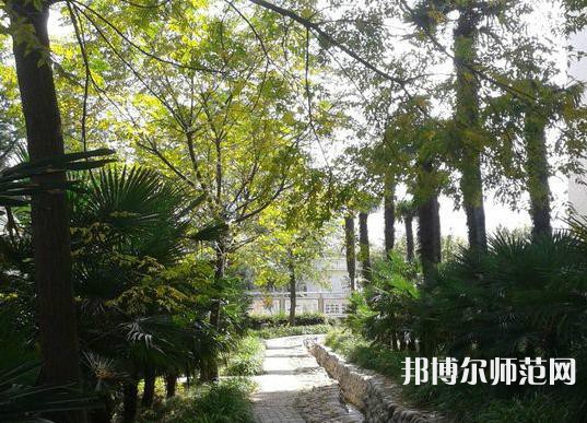 西北大學(xué)師范學(xué)院桃園校區(qū)2023年怎么樣、好不好