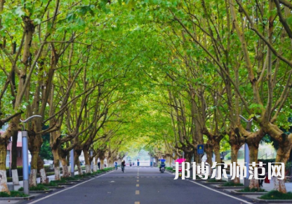 四川農(nóng)業(yè)師范大學雅安校區(qū)2023年怎么樣、好不好