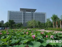 滄州師范學(xué)院2023年報(bào)名條件、招生要求、招生對(duì)象