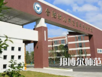 2023年合肥幼兒師范高等?？茖W(xué)校是民辦大學(xué)還是公辦