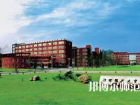 2023年江西師范大學繼續(xù)教育學院泛IT專業(yè)就業(yè)前景怎么樣